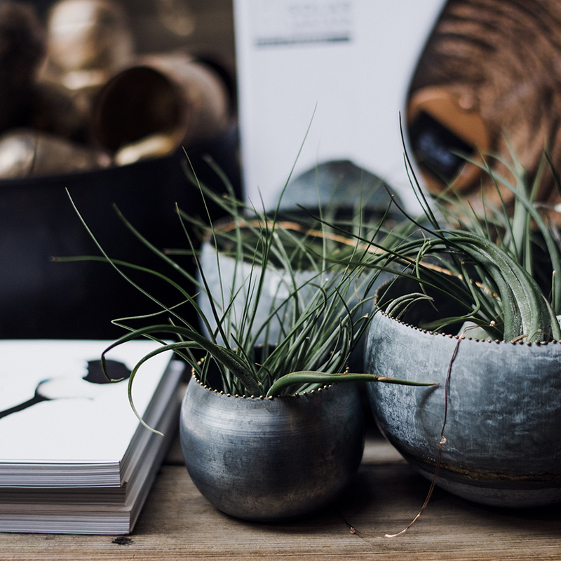 Objectif du bilan professionnel